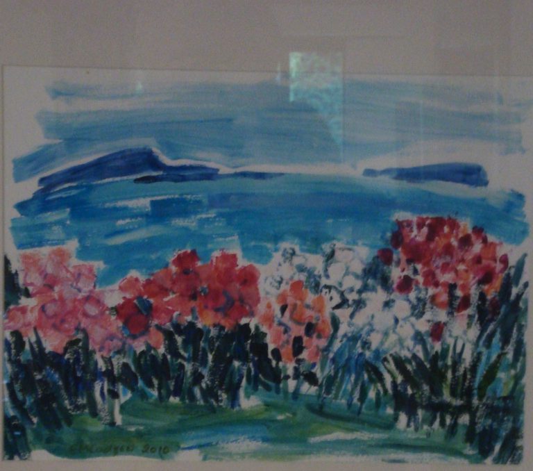 Rhododendrons with Scarba