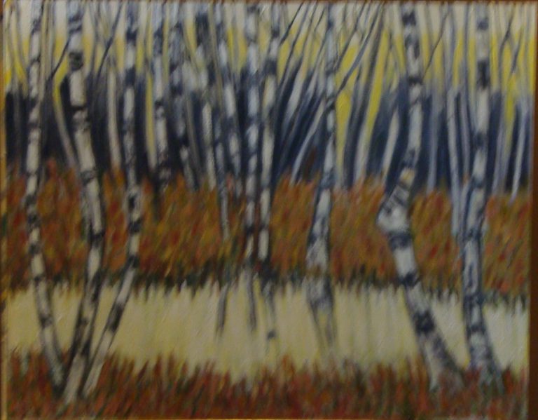 Silver birches