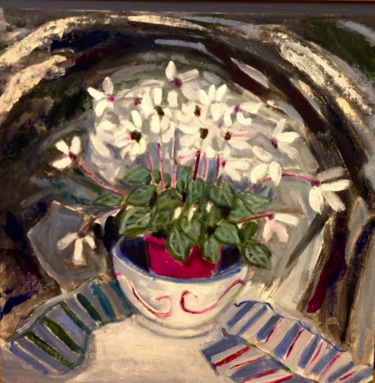 white cyclamen