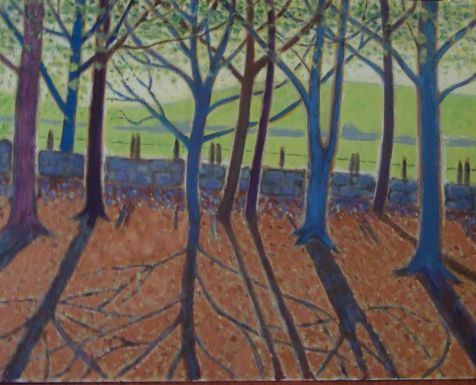 sun in winter wood