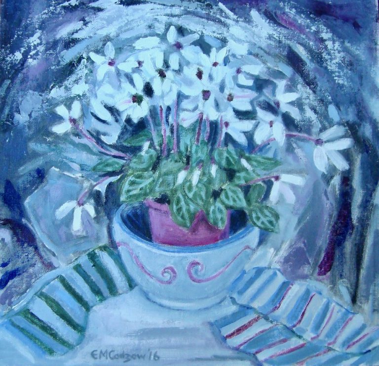 Cyclamen